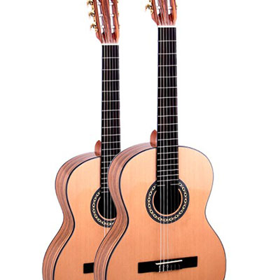 Acoustic Guitar