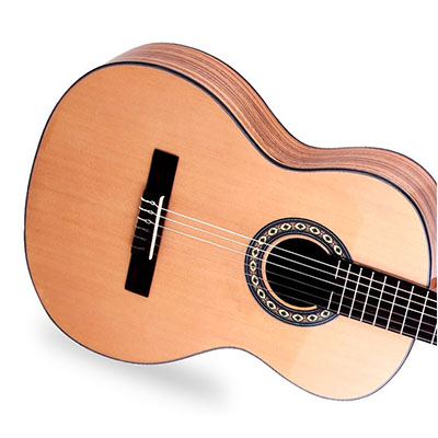 Acoustic Guitar