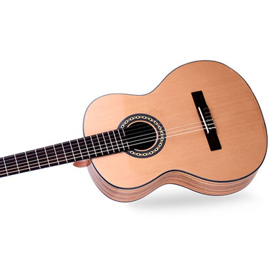 Acoustic Guitar